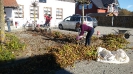 Herbsarbeiten 2015